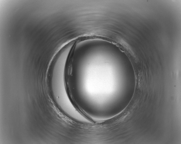 X0000065240876200602211210