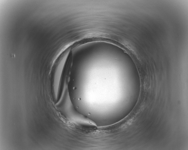 X0000065240877200602211210