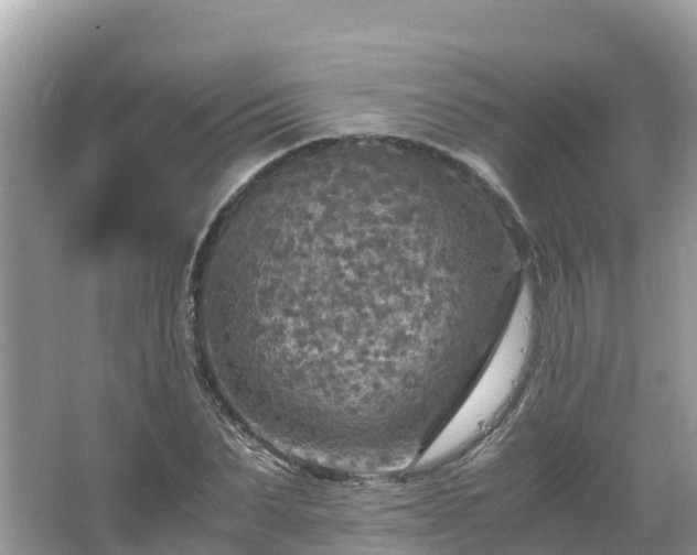 X0000065240879200602211210