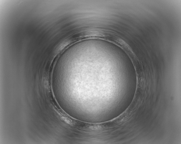 X0000065240882200602211210