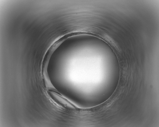 X0000065240884200602211210