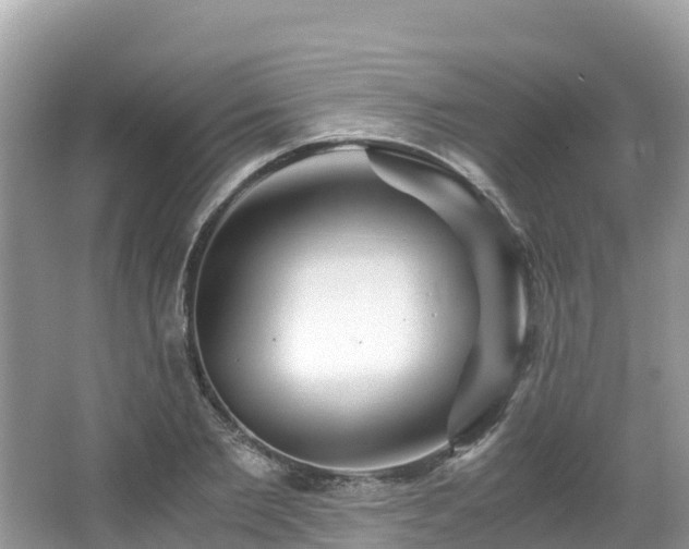 X0000065240885200602211210