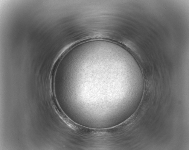 X0000065240886200602211210