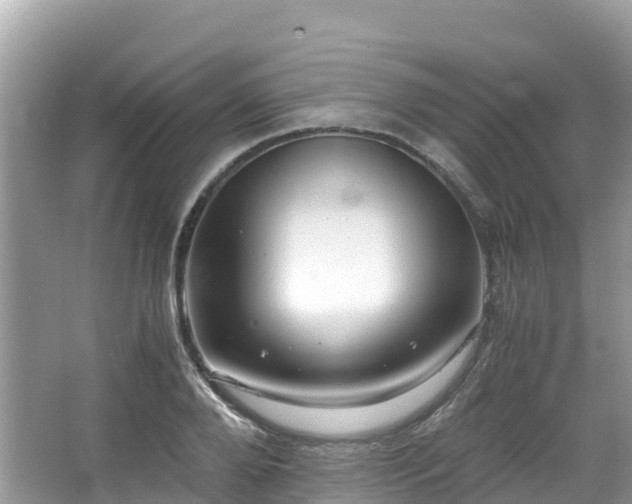 X0000065240888200602211210