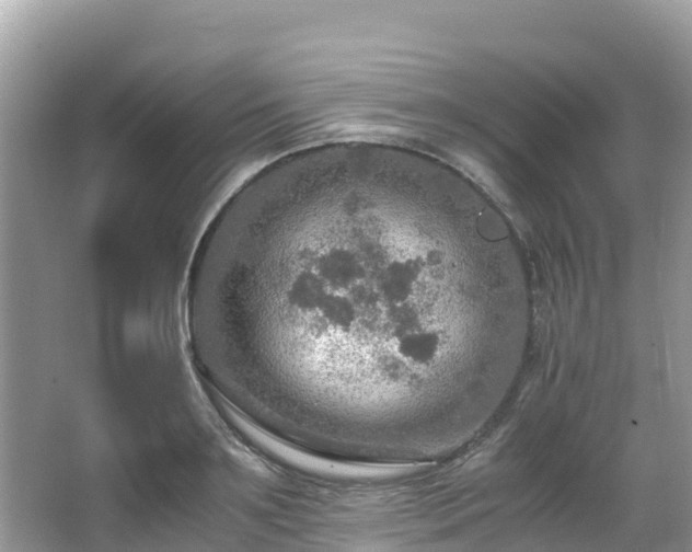 X0000065240891200602211210