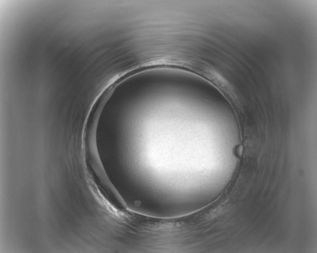 X0000065240892200602211210