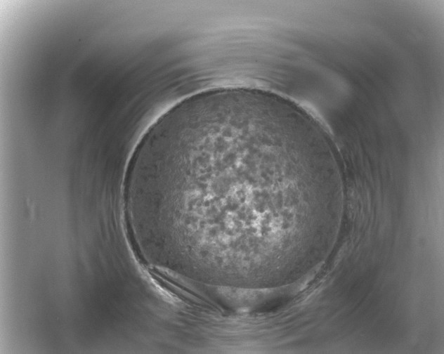 X0000065240895200602211209