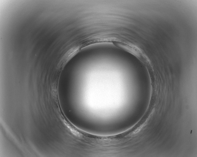 X0000065240897200602211209