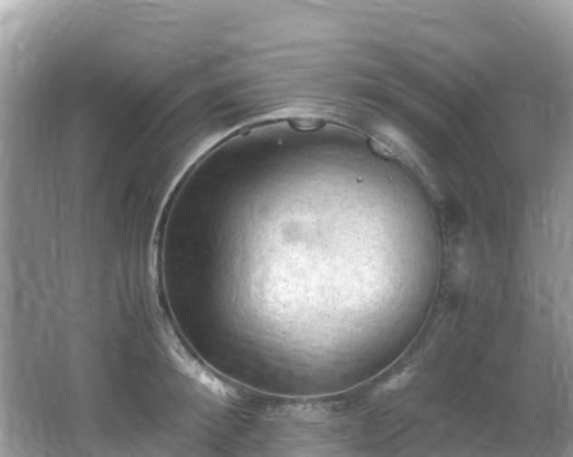 X0000065240900200602211209