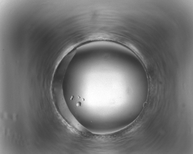 X0000065240901200602211209