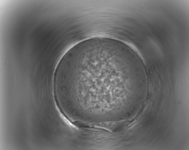 X0000065240903200602211209