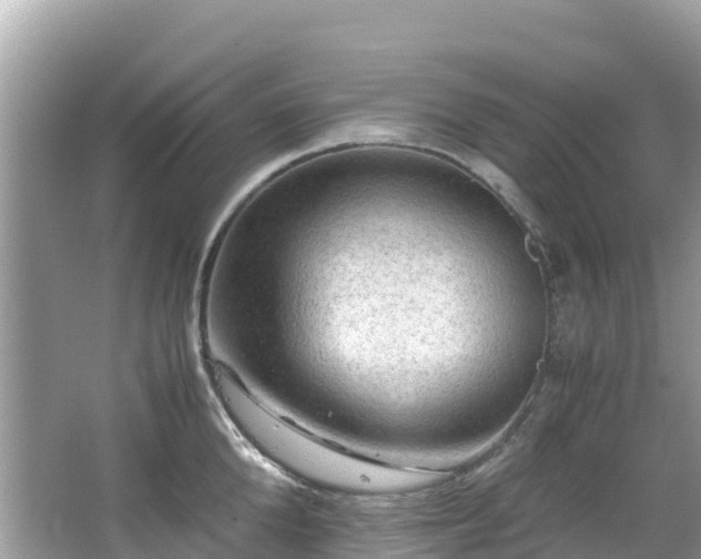 X0000065240904200602211209