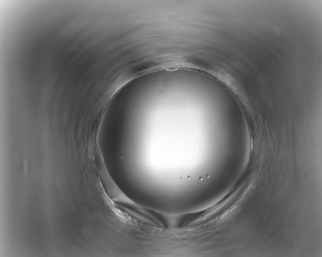 X0000065240905200602211209