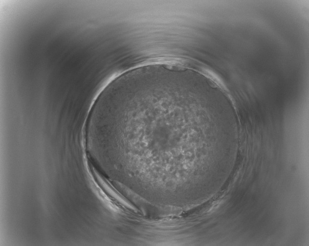 X0000065240907200602211209