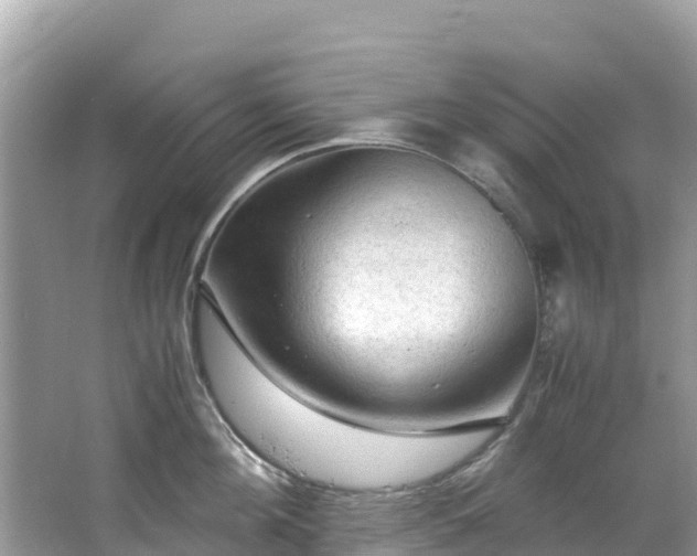 X0000065240908200602211209