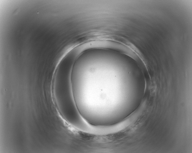 X0000065240909200602211209