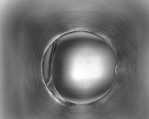 X0000065240910200602211209