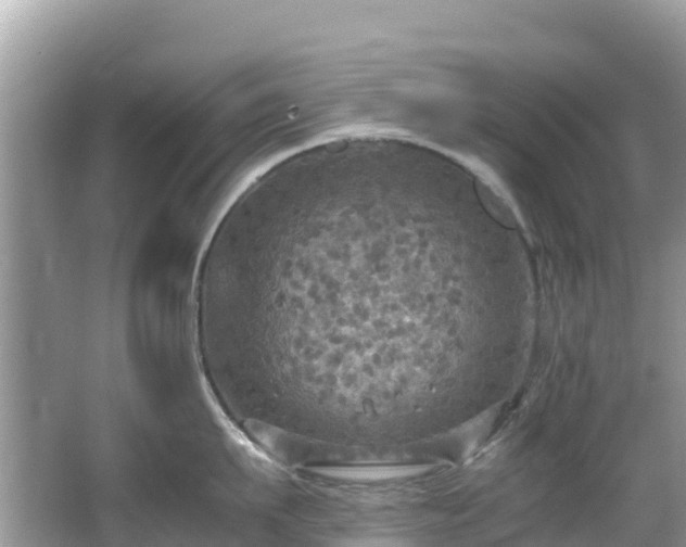 X0000065240911200602211209