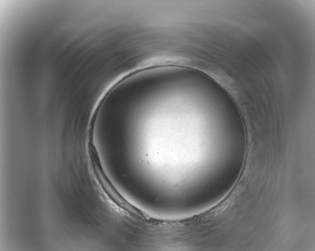 X0000065240912200602211209