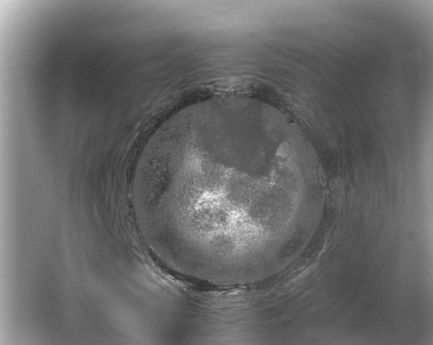 X0000065240913200602211208