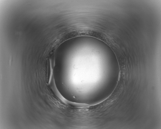 X0000065240916200602211208