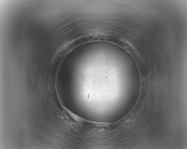 X0000065240919200602211208