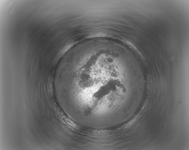 X0000065240921200602211208