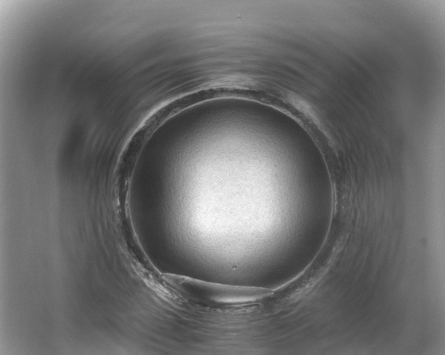 X0000065240923200602211208