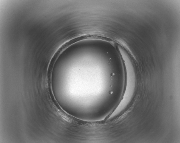 X0000065240924200602211208