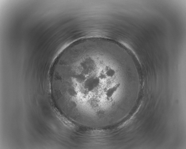 X0000065240925200602211208