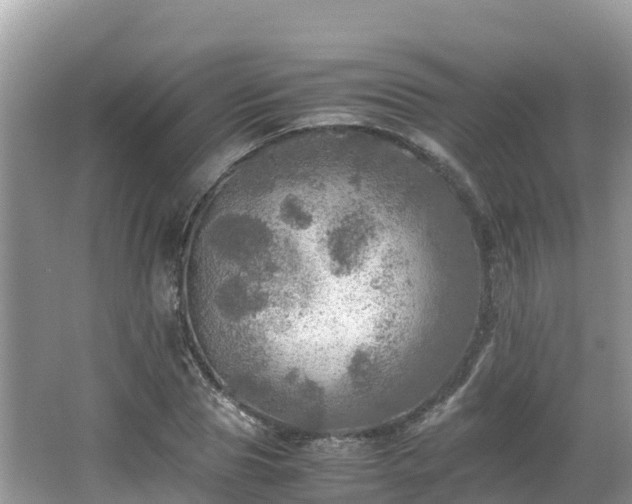 X0000065240929200602211209