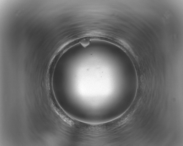 X0000065240931200602211209