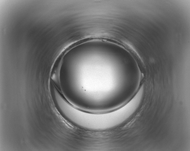 X0000065240932200602211209