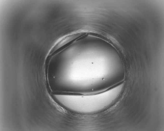 X0000065240934200602211209