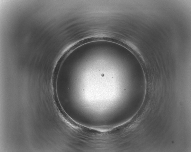 X0000065240935200602211209