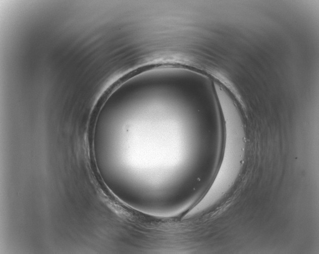 X0000065240936200602211209