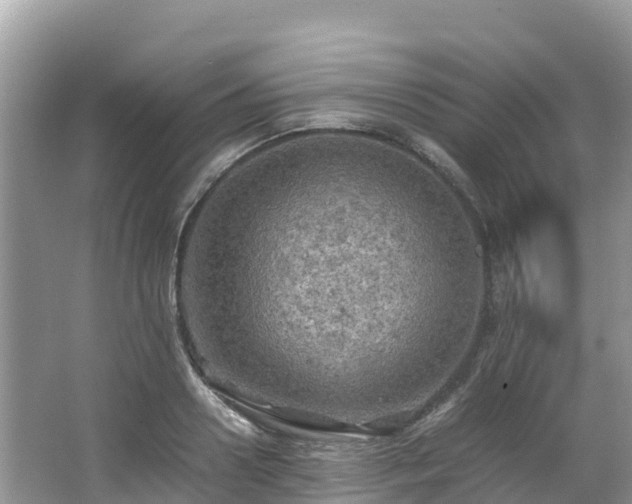 X0000065240938200602211209