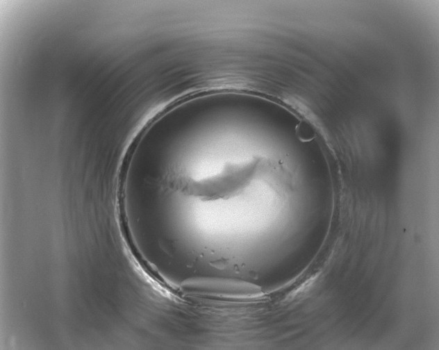 X0000065240941200602211209