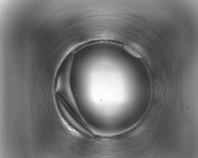 X0000065240942200602211209