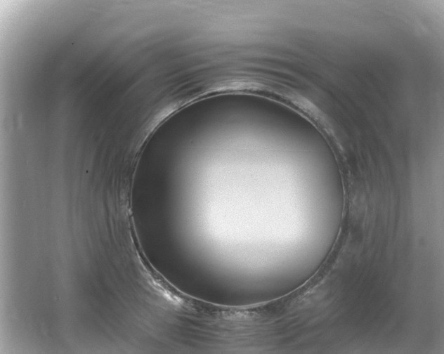 X0000065240945200602211209