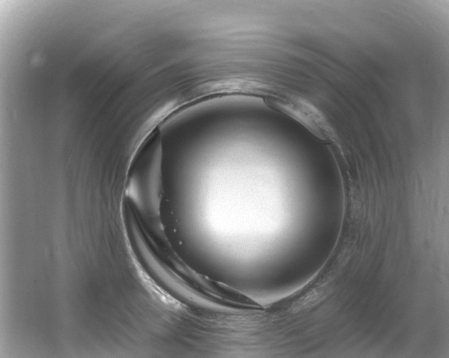 X0000065240946200602211209