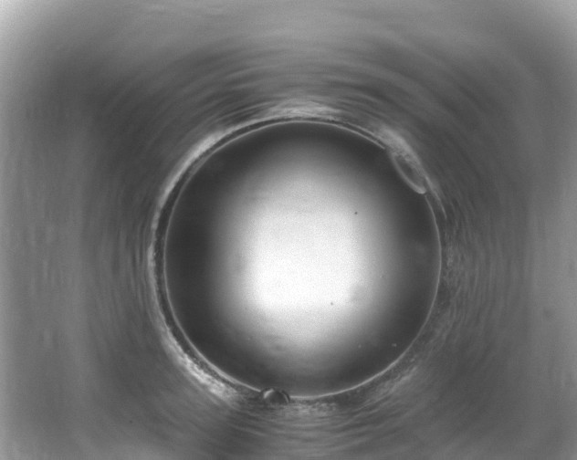 X0000065240947200602211209