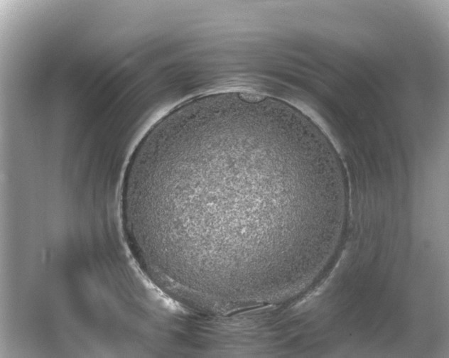 X0000065240949200602211209