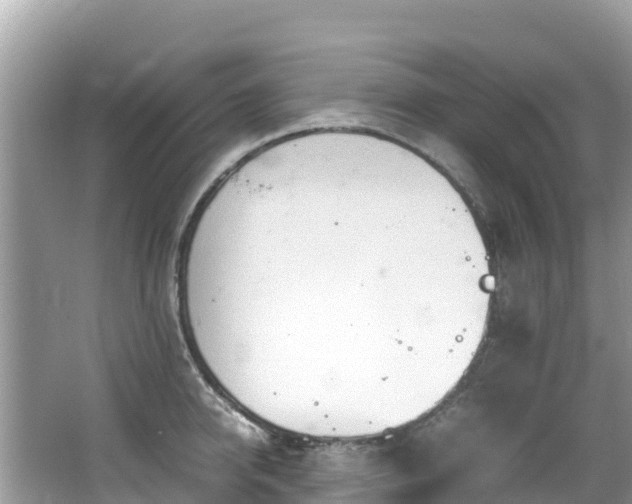 X0000065240950200602211209