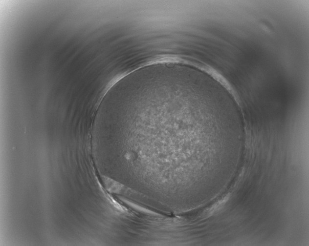 X0000065240953200602211209