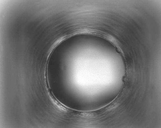 X0000065240954200602211209