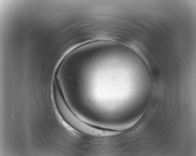 X0000065240955200602211209