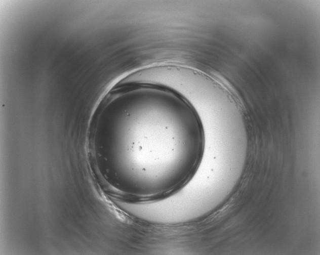 X0000065240956200602211209