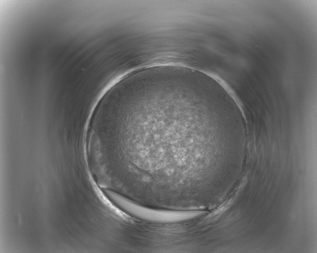 X0000065240957200602211209