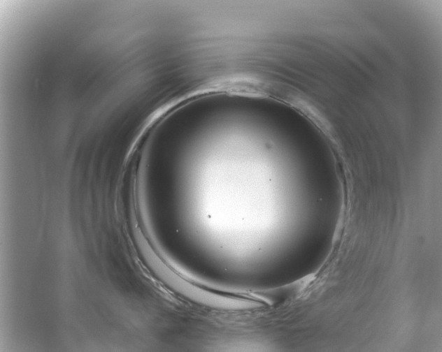 X0000065240960200602211209